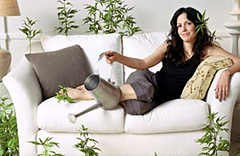 [mary-louise_parker_weeds.jpg]