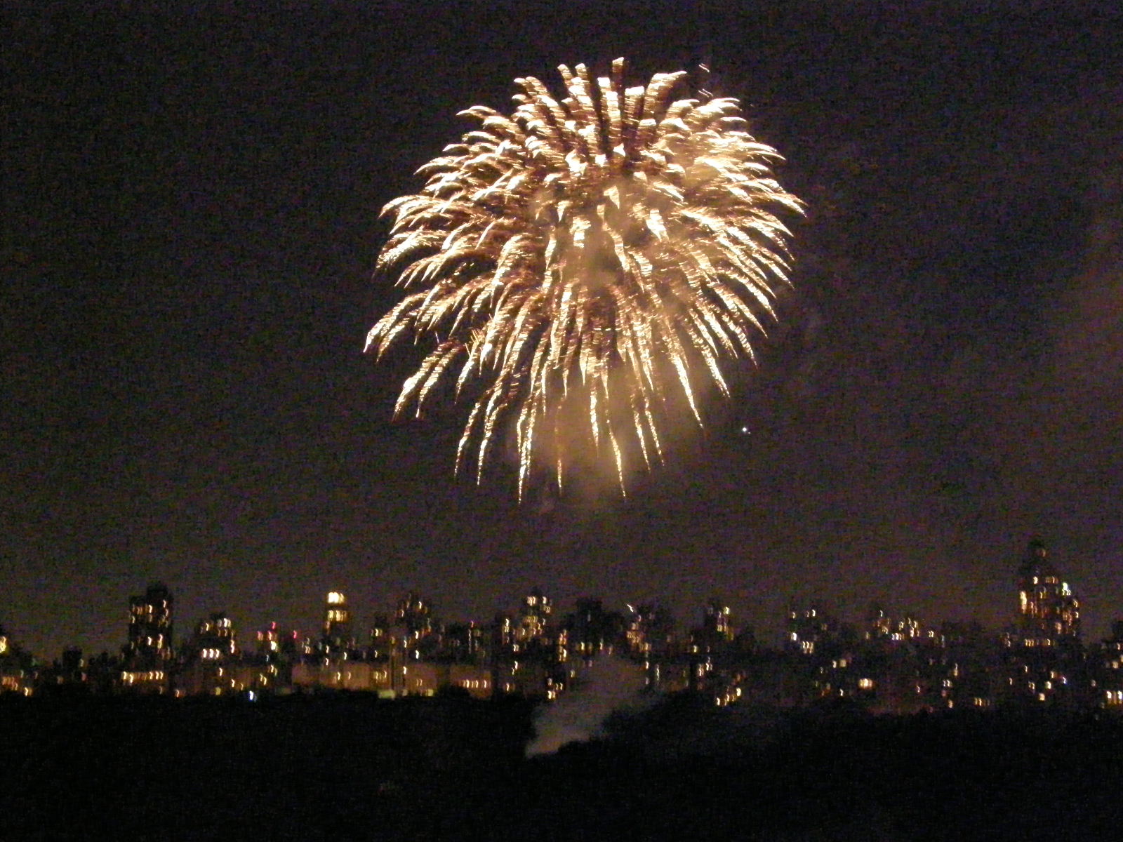 [fireworks-6-24-08.jpg]