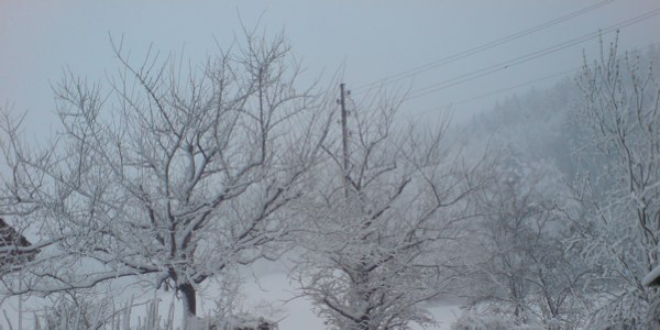 [winter_bäume.jpg]