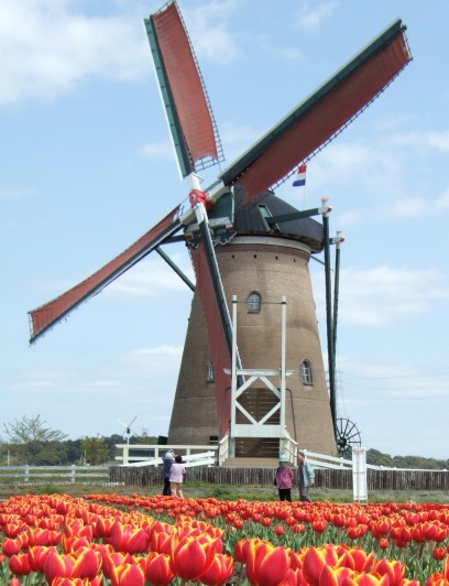 [Dutch_windmill_h.jpg]