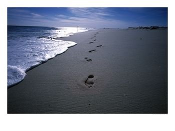 [Foot-Prints-in-Sand-Photographic-Print-C11913303.jpeg]