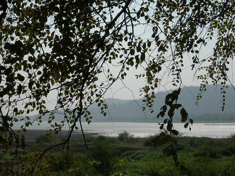 vihar lake in mumbai by kunal bhatia