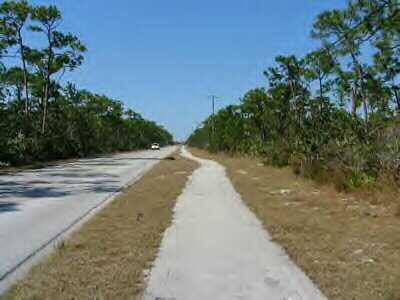 [Florida_Keys_bike_trail.jpg]