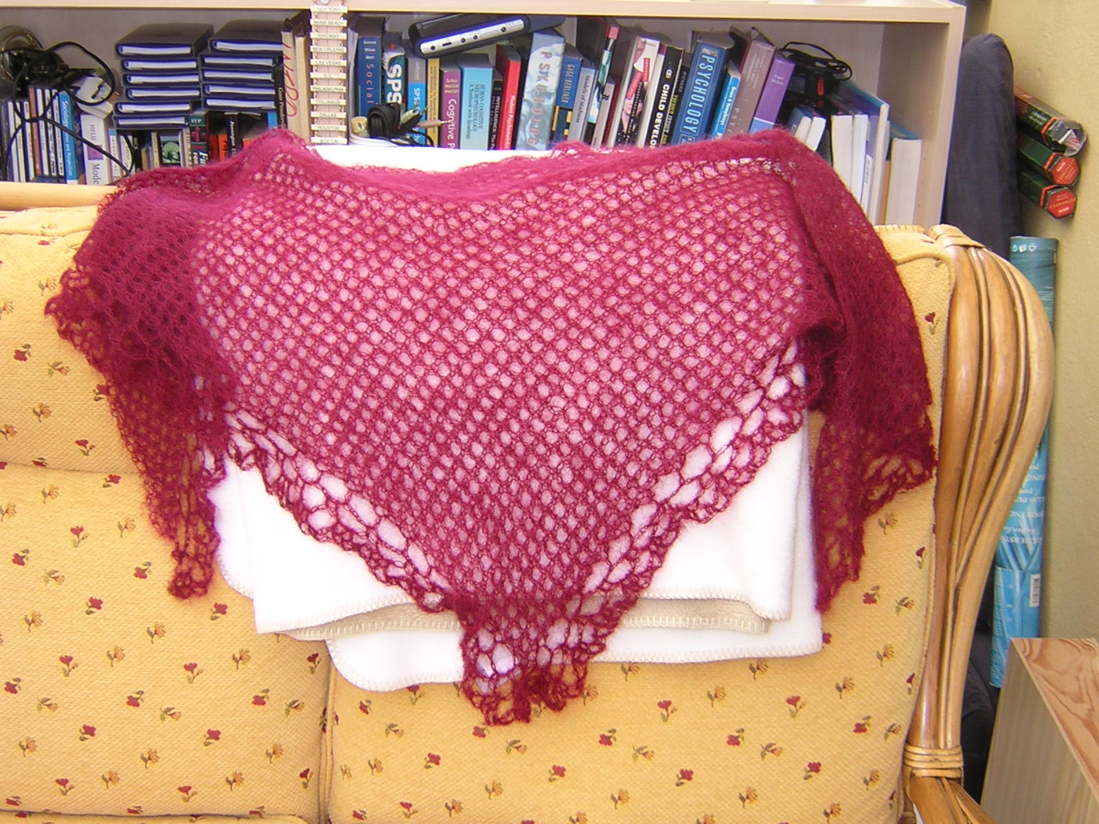 [knitting2008+009.JPG]