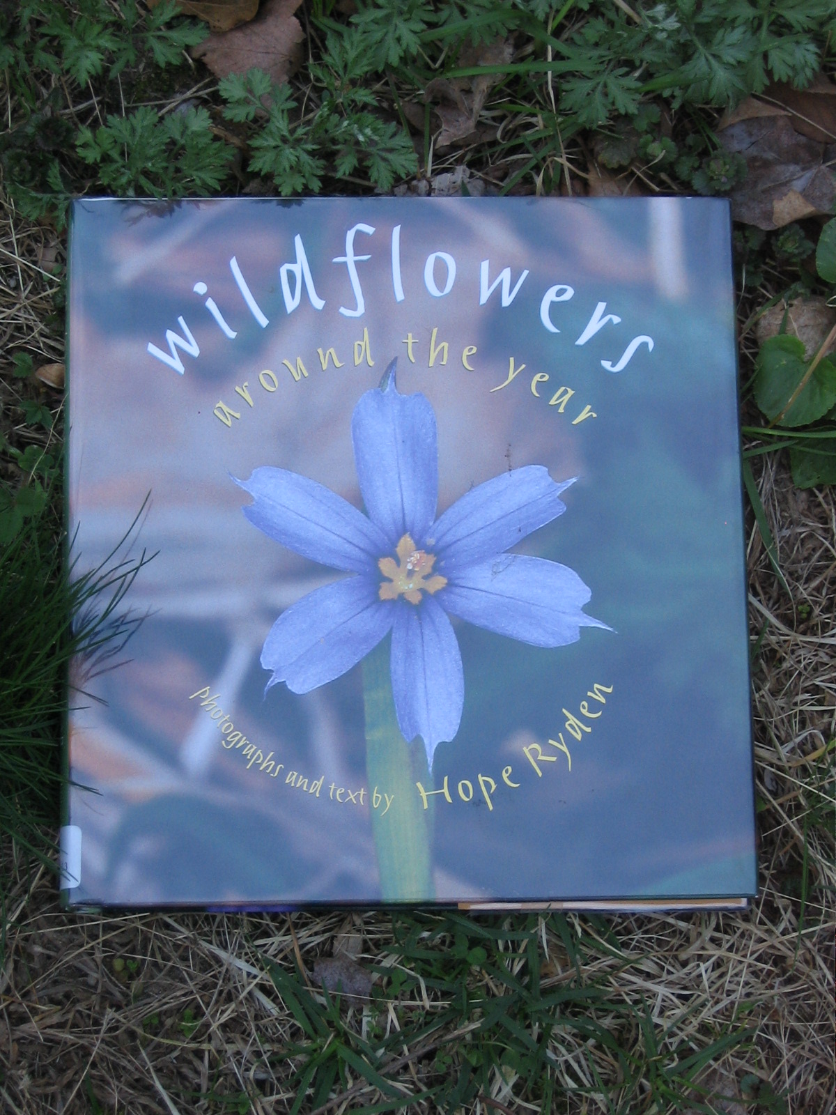 [Books,+wildflowers+around+the+year.JPG]