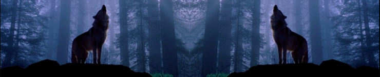 [Wolf+Forest+Banner+Mirrored.jpg]