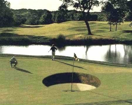 [golf-hole.jpg]