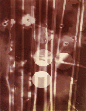 [Moholy-Nagy.Photogram01c1925.gif]
