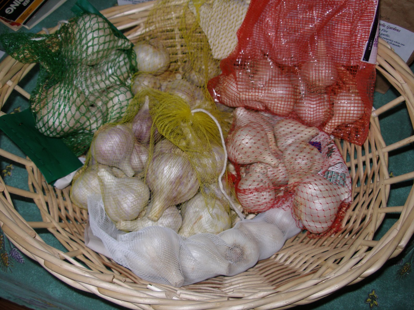 [garlic+harvest+'08.jpg]