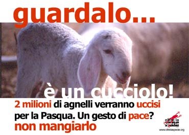 [save+the+agnello+pasquale.bmp]