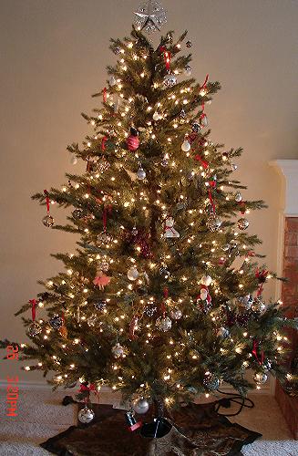 [Oh+Christmas+Tree+-+2006.JPG]
