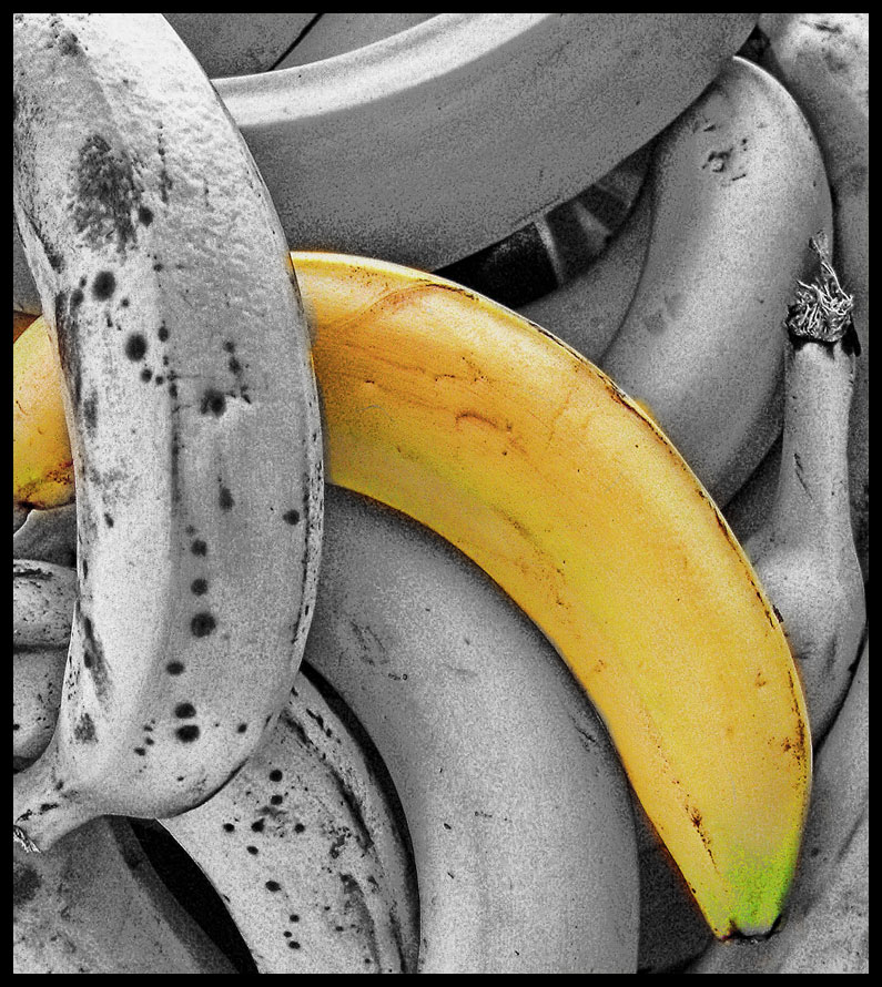 [odd+banana+out.jpg]