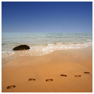 [footsteps_in_the_sand______by_foureyes.jpg]