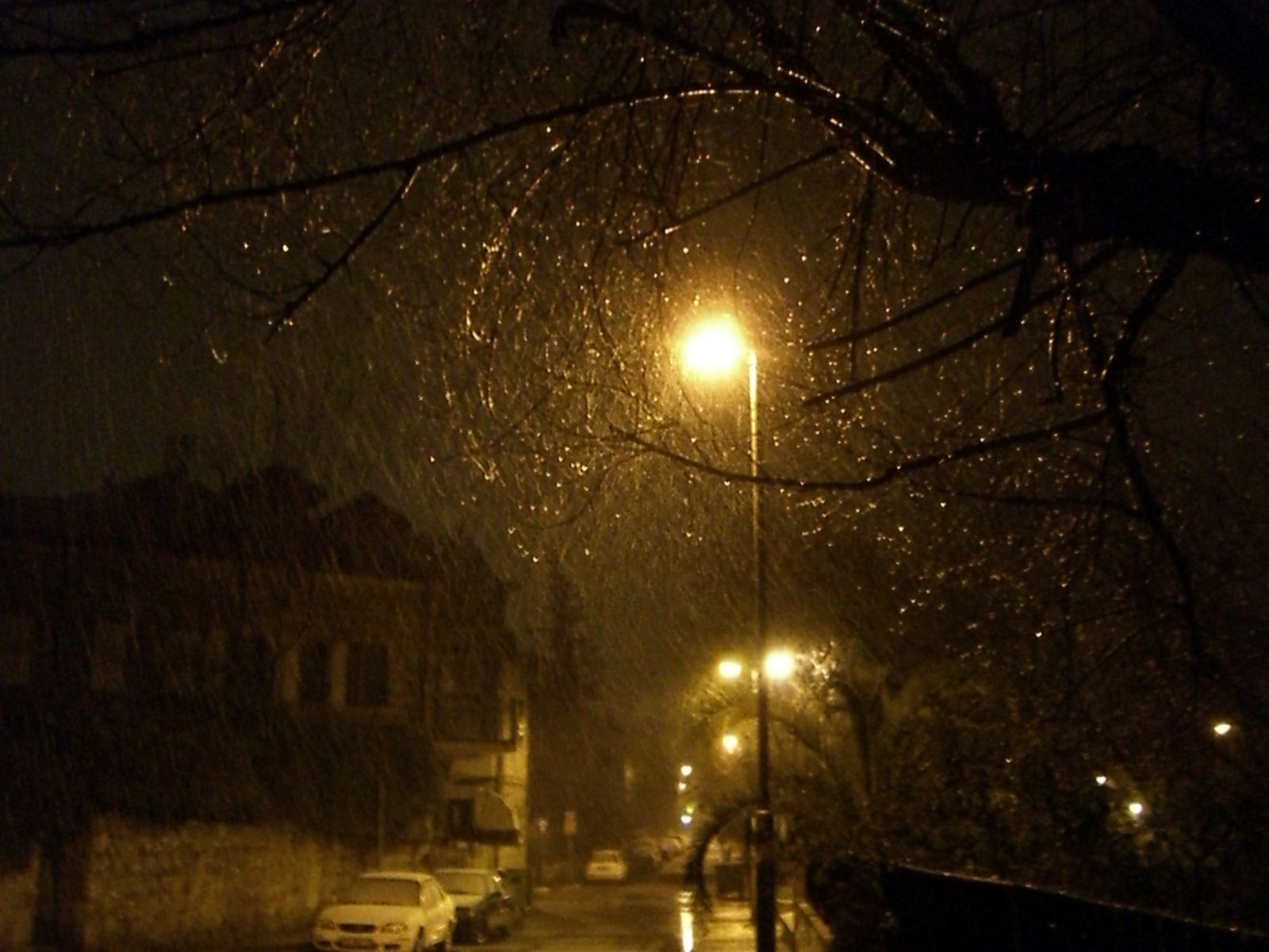 [snow+in+light.JPG]