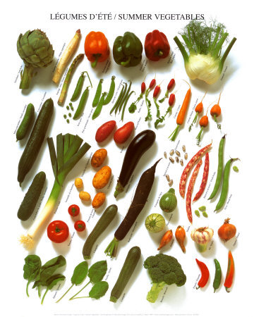 [KE036~Summer-Vegetables-Posters.jpg]