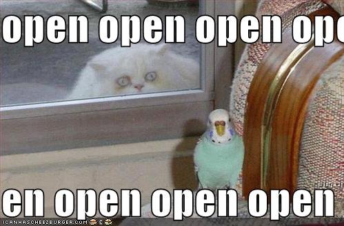 [open+open.bmp]