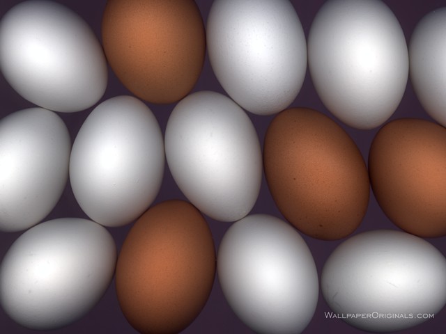 [brown+and+white+eggs2.jpg]