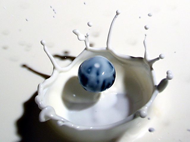 [blueberry+splash.jpg]