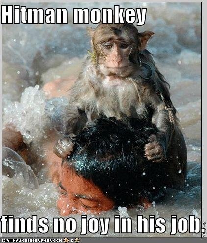 [hitman+monkey.bmp]
