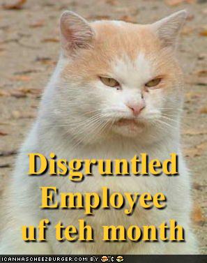 [funny-pictures-disgruntled-employee-of-the-month.jpg]
