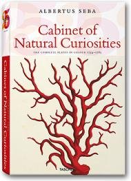[cabinet+of+natural+curiosities.jpg]