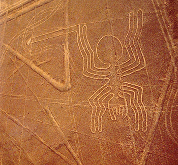 [nazca-spider-nc-latinamericanstudies-350.gif]