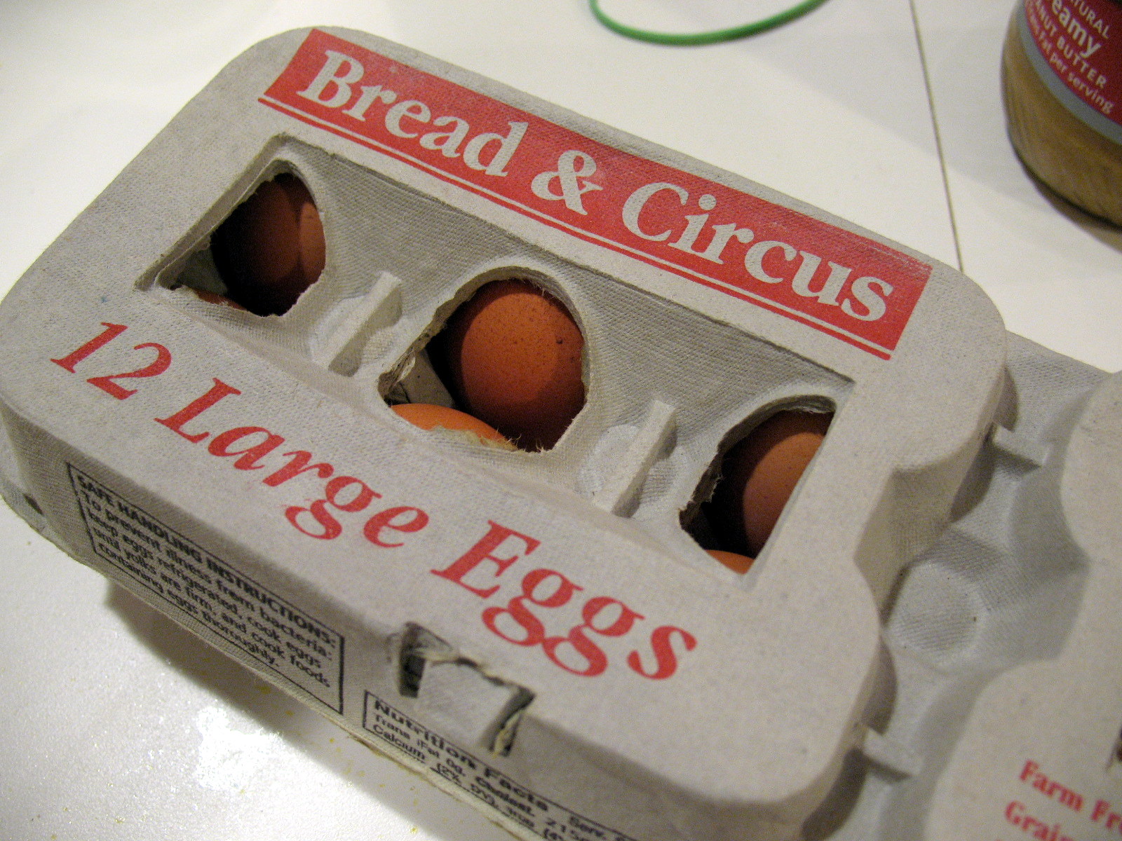 [Eggs.JPG]