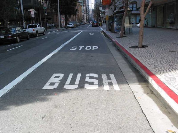 [stop+bush.jpg]