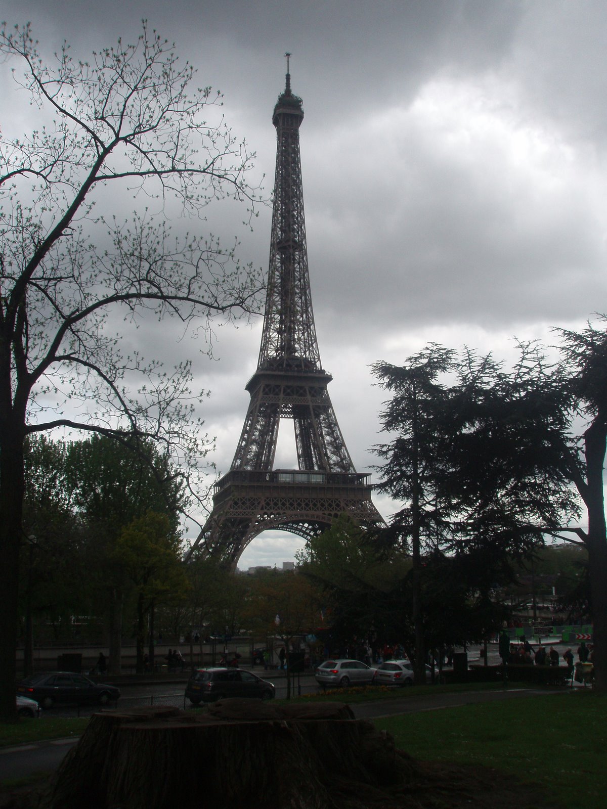 [Paris+spring+Eiffel+in+the+rain+04.jpg]