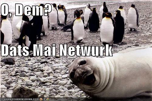 [funny-pictures-seal-penguins-phone-network.jpg]