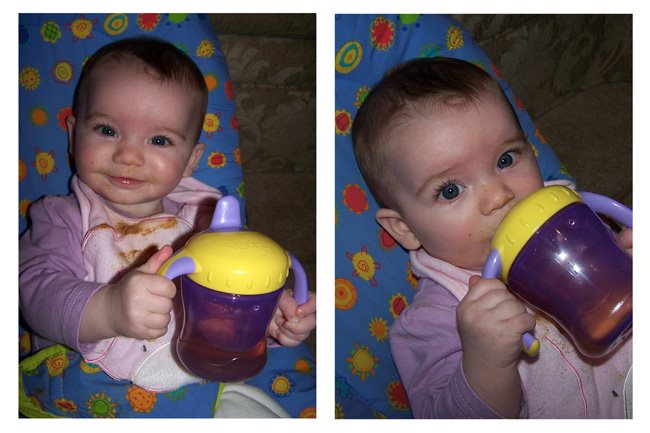 [sippy+cup.jpg]