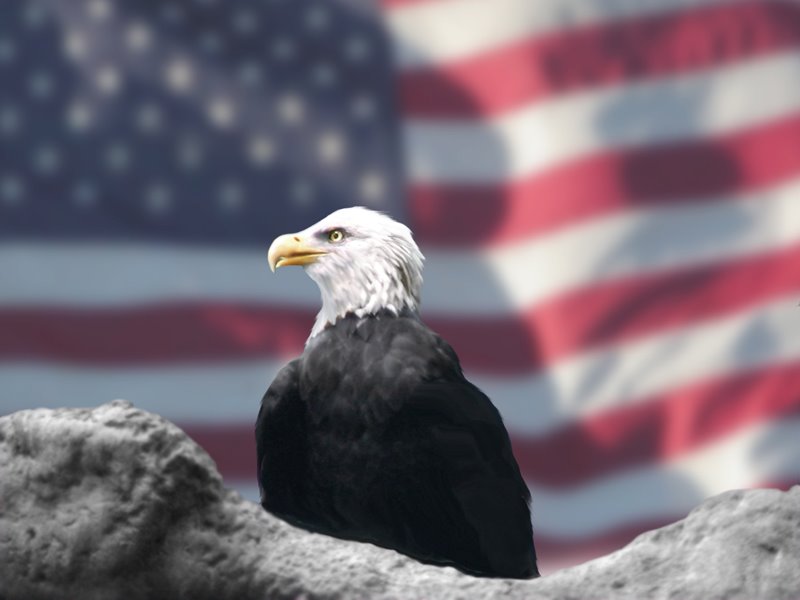 [Eagle_and_American_Flag_by_Bubbels.jpg]