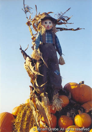 [ScarecrowAndPumpkins354.jpg]