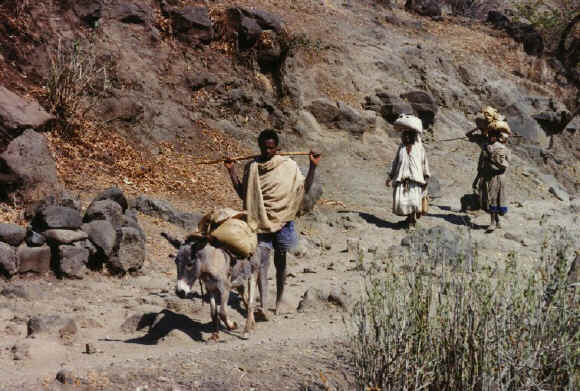 [ethiopia198.jpg]