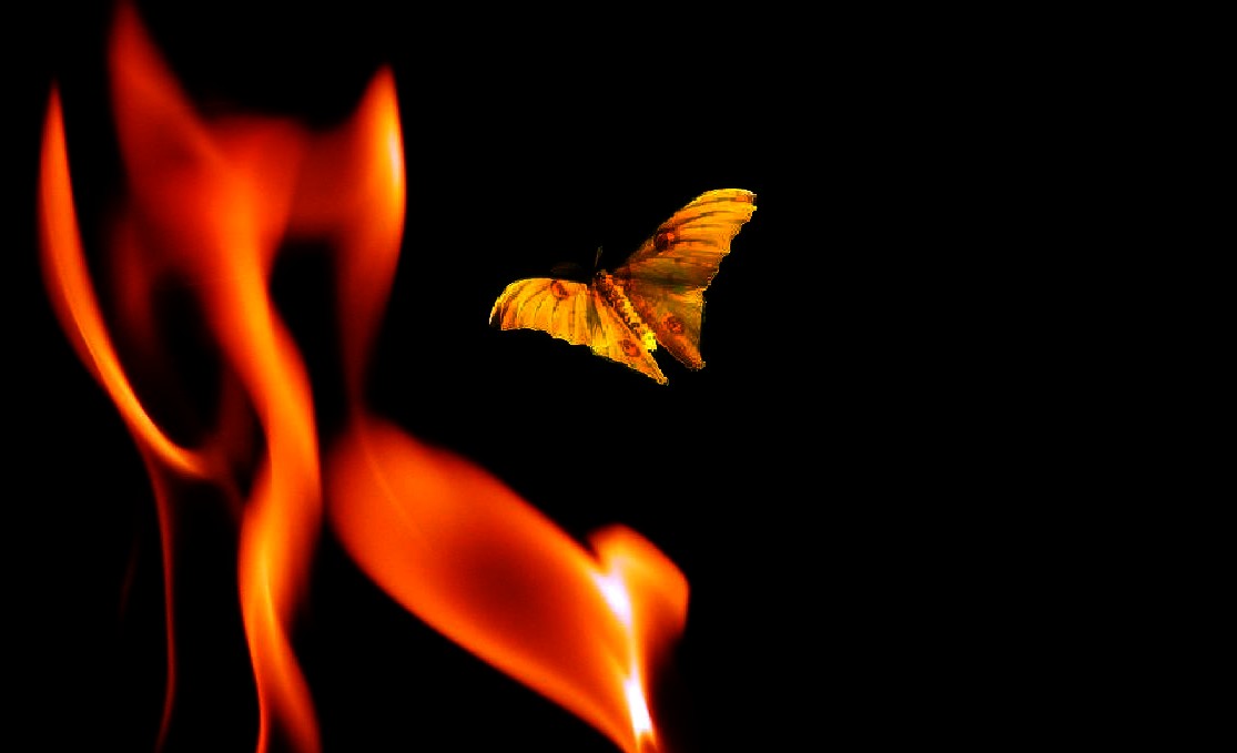 [Like_a_moth_to_a_flame___.jpg]
