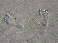 [footprint3.jpg]
