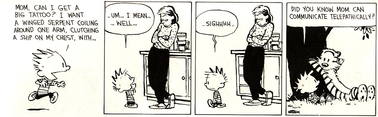 [Calvin+&+Hobbes+11.jpg]