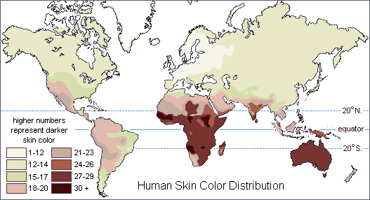 [skin_color_distribution.gif]