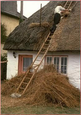 [ireland+thatched+roof.jpg]