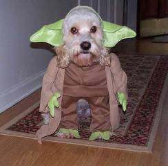 Disfraz de Yoda Star Wars