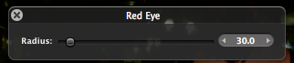 Aperture Tutorial - Red Eye 