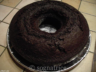 World's moistest chocolate cake