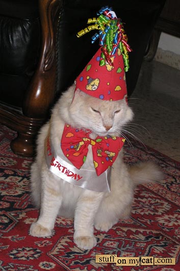 [birthday+cat+eric.jpg]