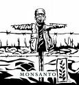 [Monsanto.jpg]