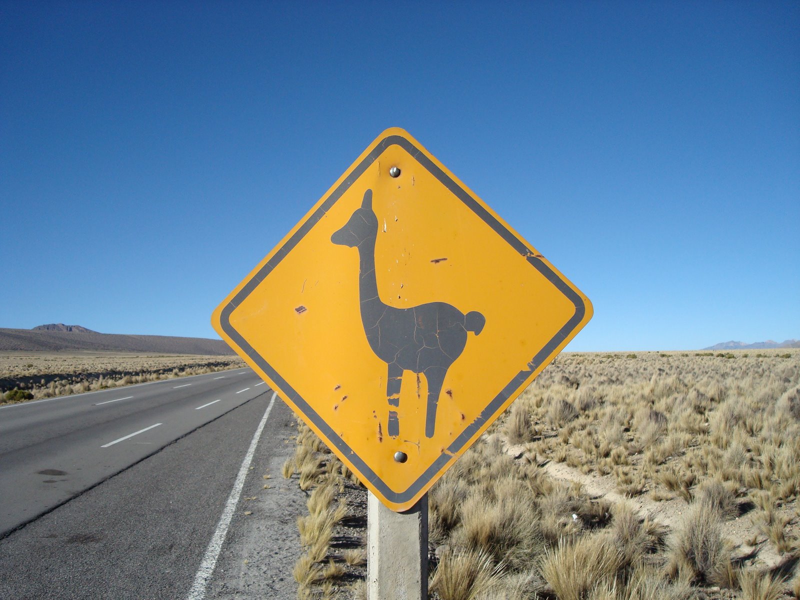[Warningsign+lamas+(1).JPG]