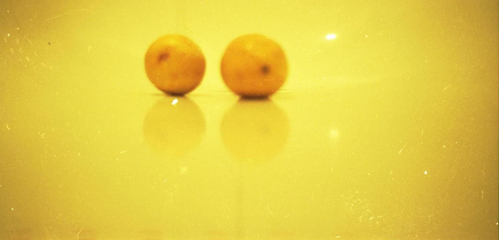 [Lemons.JPG]