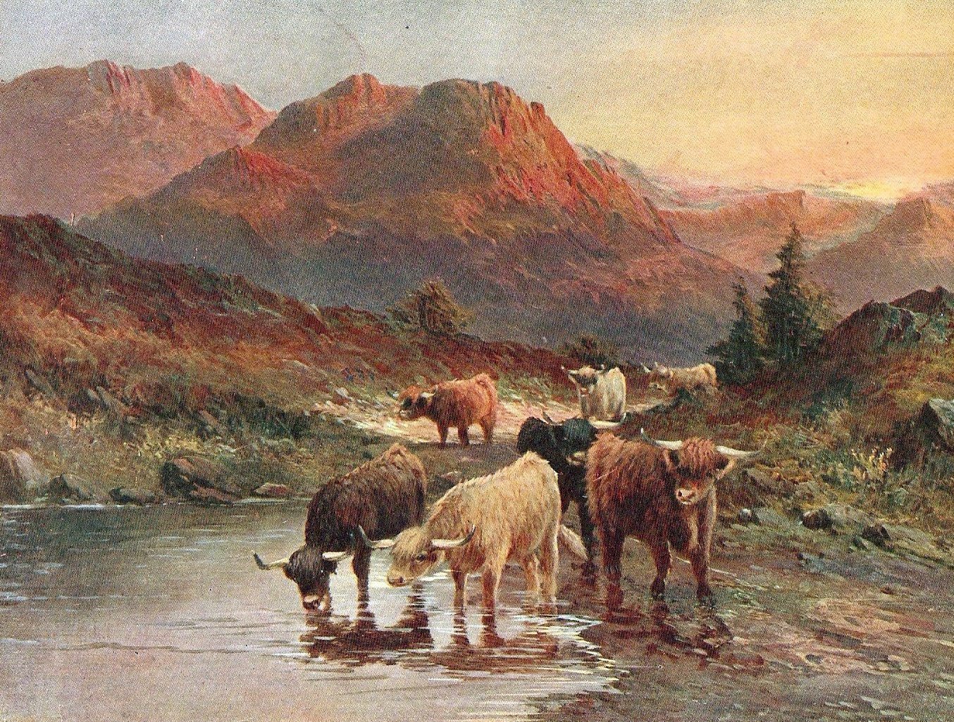 [Juan's+Highland+cattle.jpg]