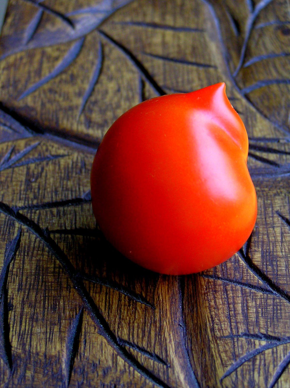[Funky+tomato+we+grew+7-2008+(11).JPG]