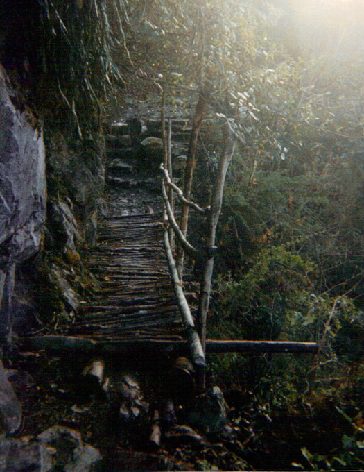 [Inca+trail+bridge.jpg]