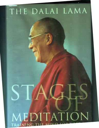 [dalai-lama-book.jpg]